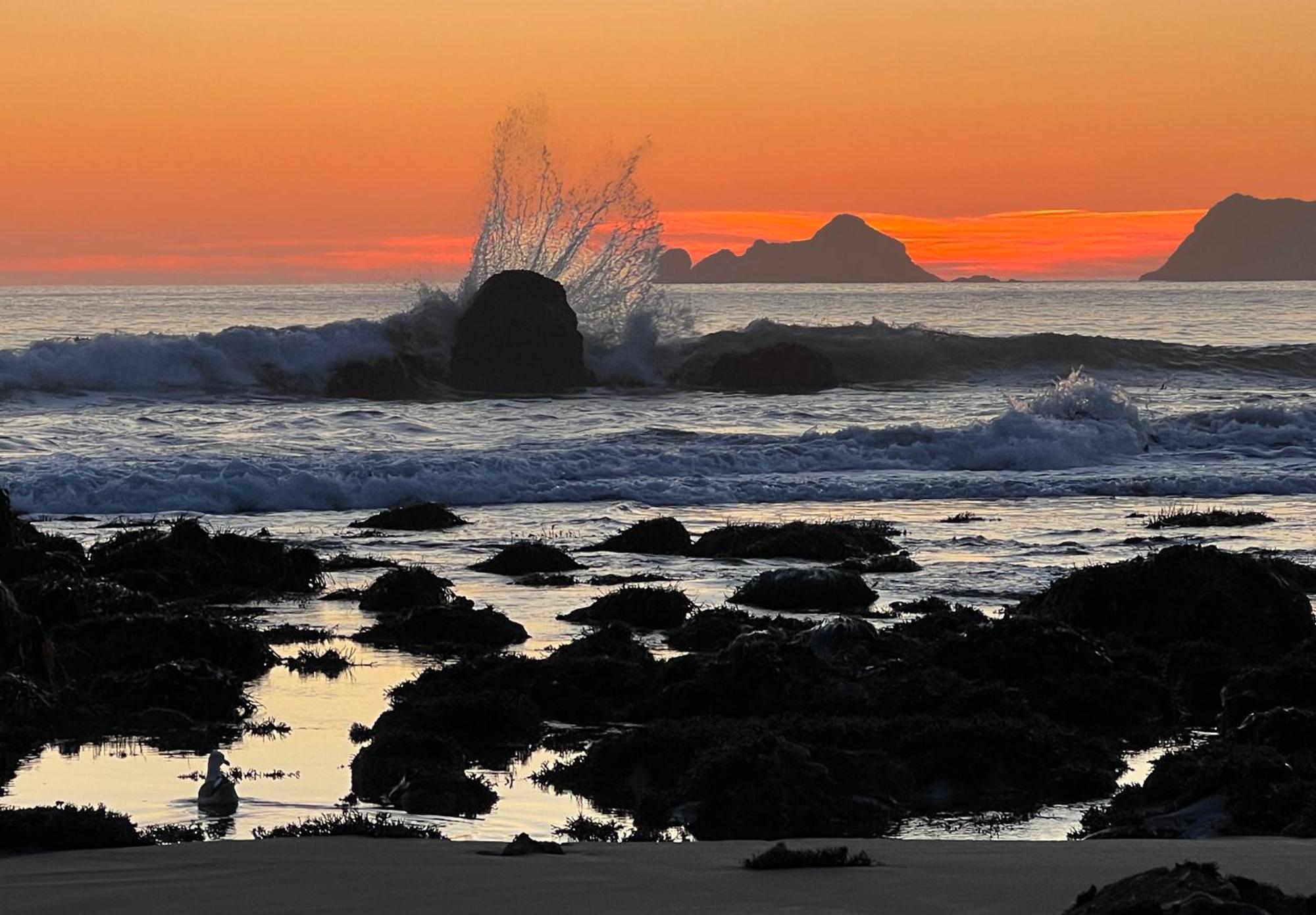 The Cove At Port Orford - 5 Ocean Front Suites Exterior photo
