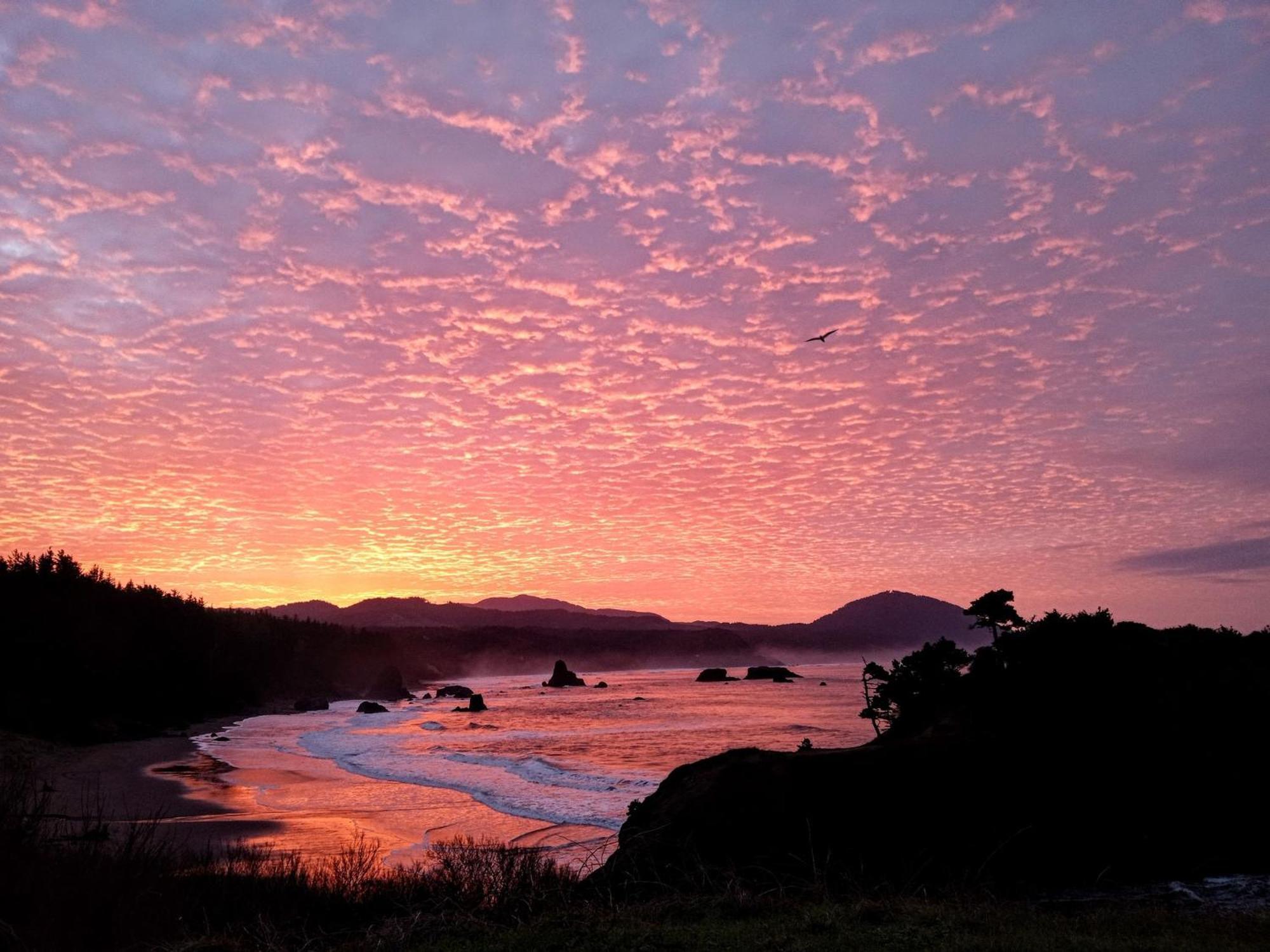 The Cove At Port Orford - 5 Ocean Front Suites Exterior photo
